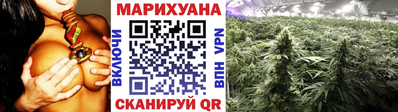 МЕФ Кировск
