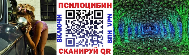 Галлюциногенные грибы Magic Shrooms  где купить наркотик  Кировск 
